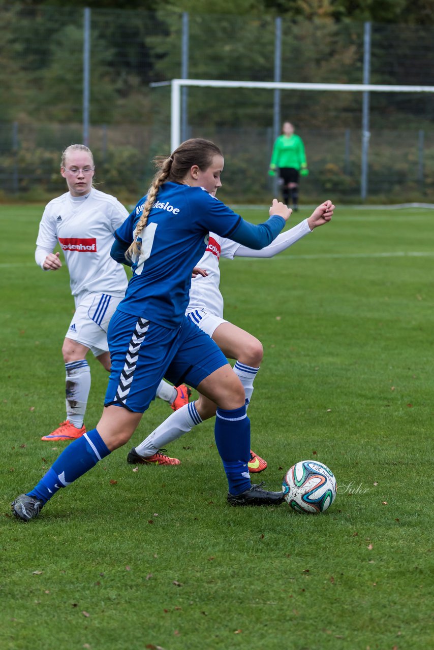 Bild 298 - Frauen FSC Kaltenkirchen - VfL Oldesloe : Ergebnis: 1:2